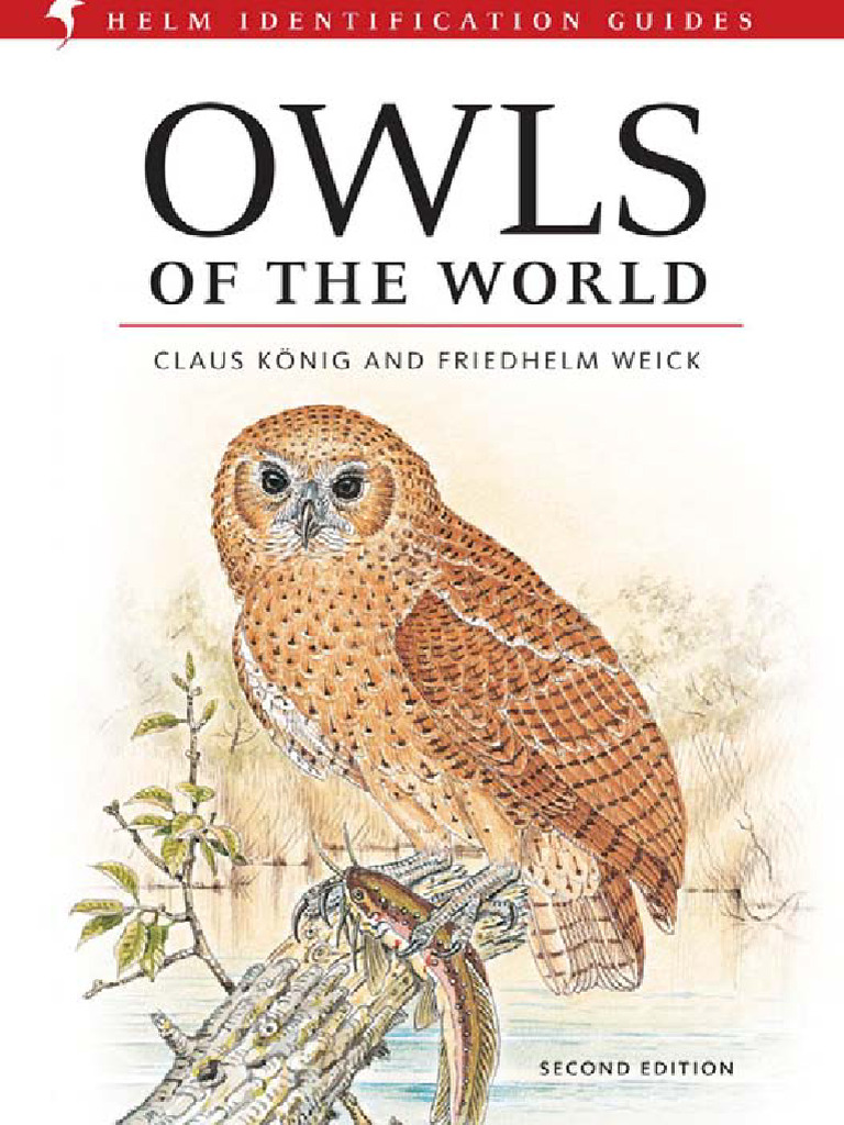 Global Owl Species Overview | PDF | Species | Birds Of Prey