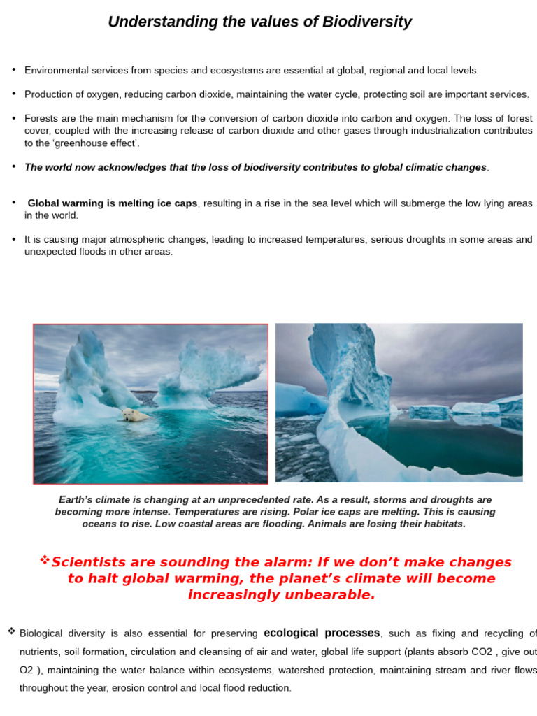 Importance of Biodiversity for Ecosystems | PDF | Biodiversity ...