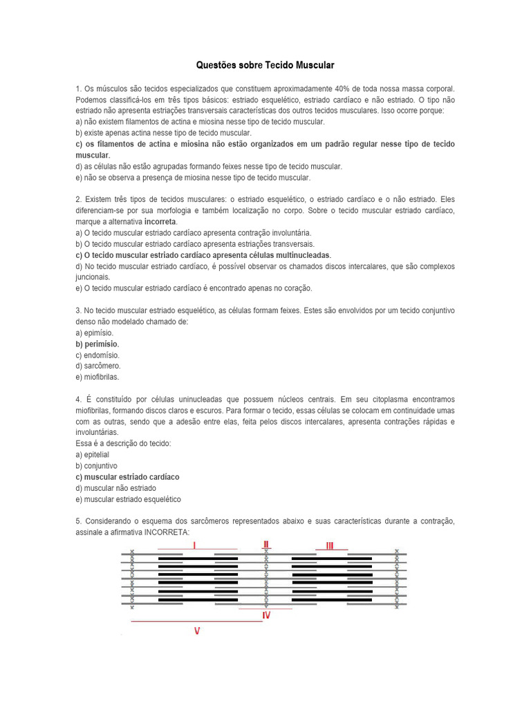 Questões Sobre Tecido Muscular | PDF | Músculo | Biologia