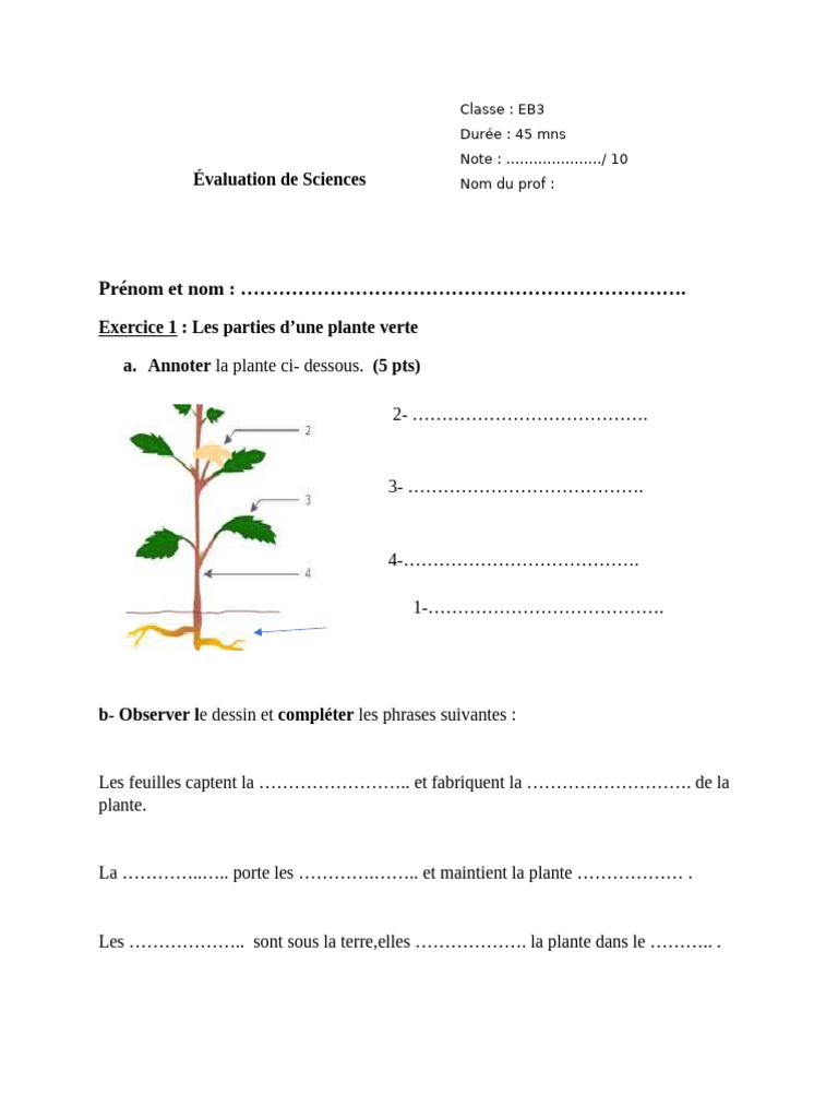Évaluation sur les plantes en EB3 | PDF