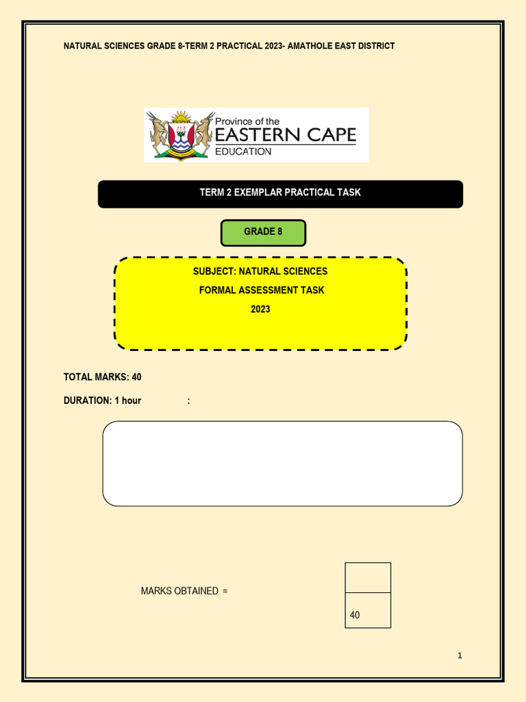 Grade 8 Natural Sciences Practical 2023 | PDF | Density | Gases