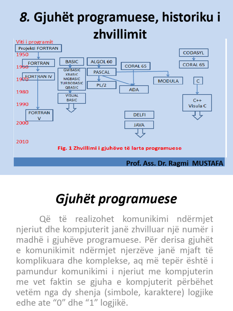 8 Gjuhet Programuese Historiku I Zhvillimit | PDF