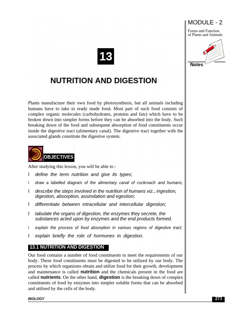Understanding Nutrition and Digestion | PDF | Digestion | Stomach