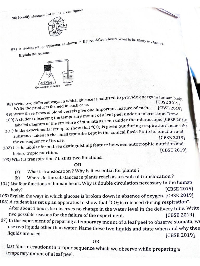 Worksheet On Life Processes 10thstd | PDF