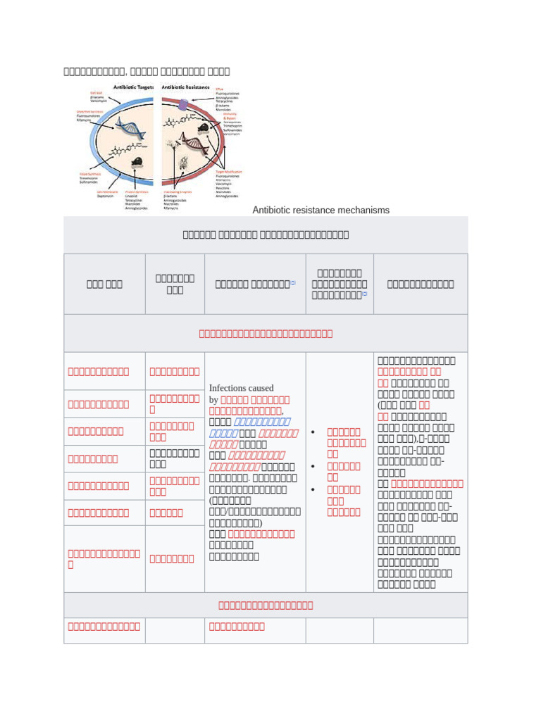 Classification of Antibiotic | PDF