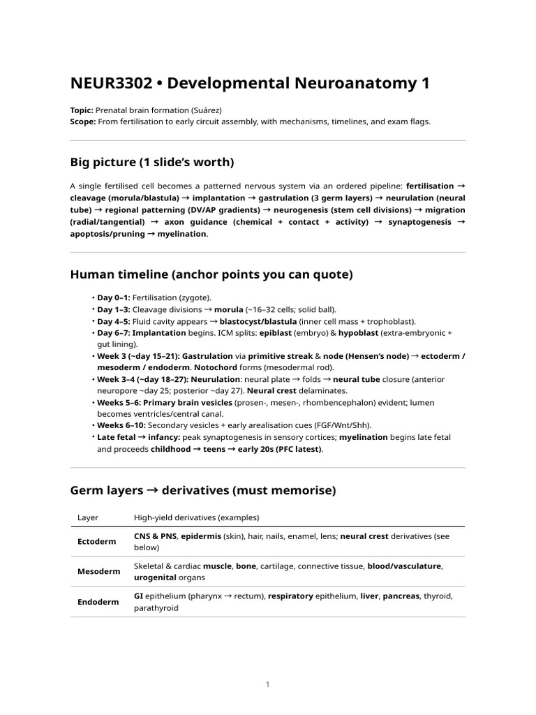 Neur3302 Lecture 1 - Prenatal Development (Integrated Notes) | PDF ...
