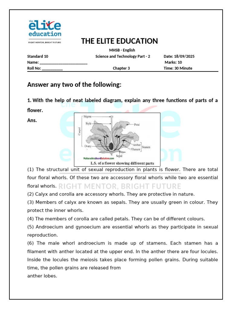 Model Answer Key Test 3 Part II | PDF