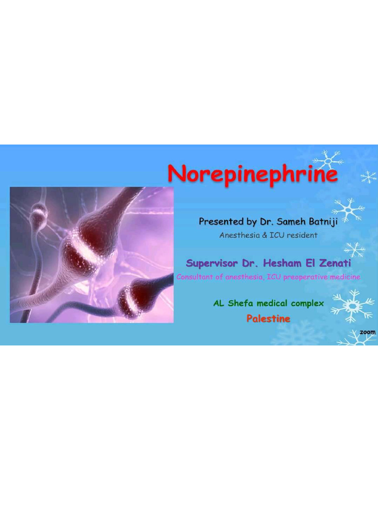 Norepinephrine | PDF