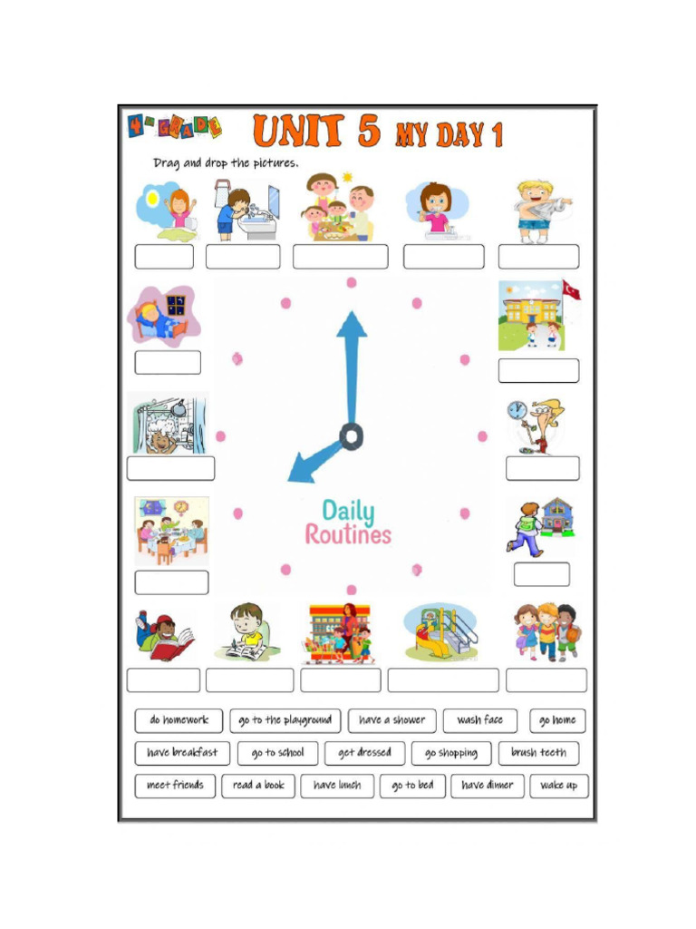 Daily Routine | PDF