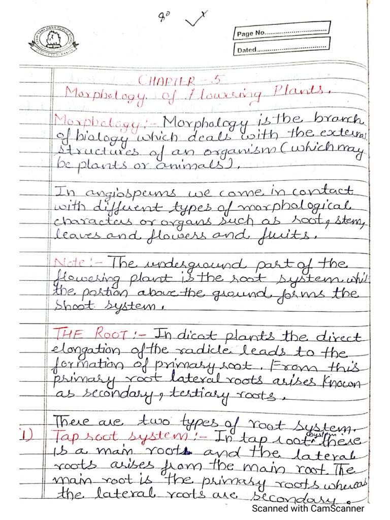 CH 5 Morphology of Flowering Plants Notes | PDF