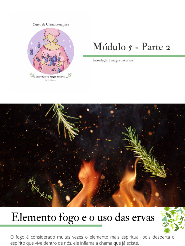 Apostila Módulo 5 Parte 2 | PDF