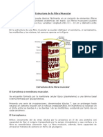 Bioquimica de Contraccion Muscular 2006