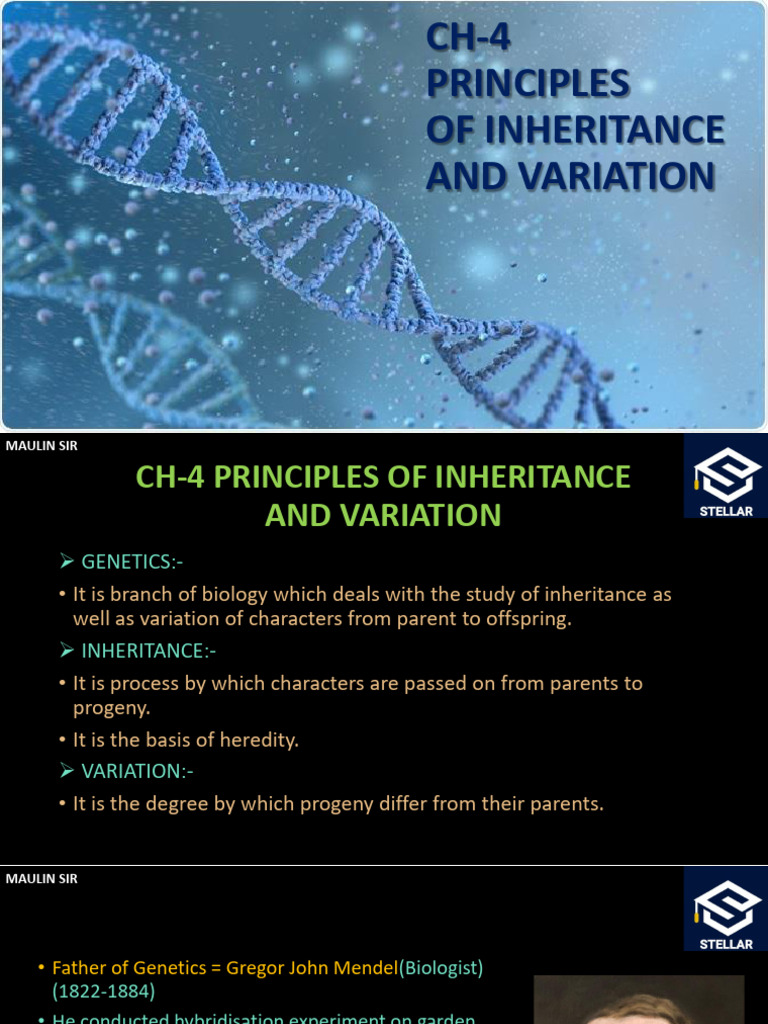 Ch-4 Principles of Inheritance and Variation PDF | PDF | Dominance ...