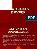 Imobilized Enzyme Bt
