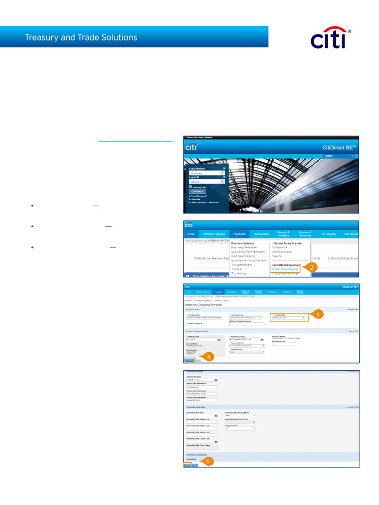 CitiDirect BE® Payment Template Guide | PDF