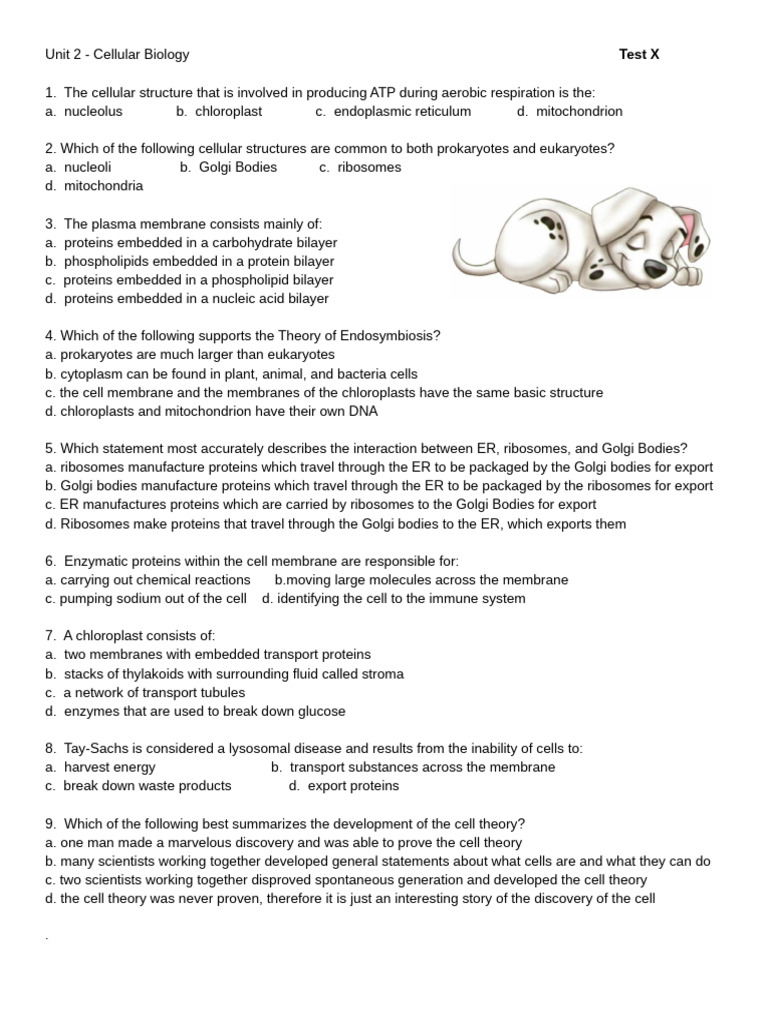 Cellular Biology Test Questions and Concepts | PDF | Endoplasmic ...