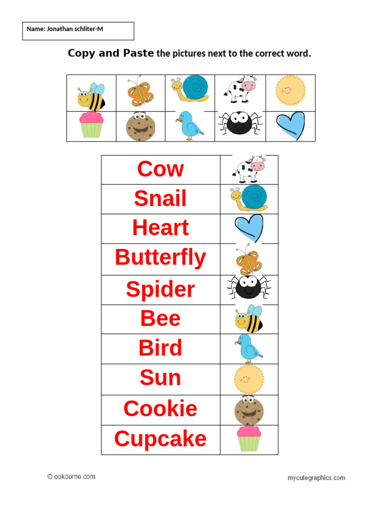 Copy and Paste Animal-Insect Picture Practice | PDF