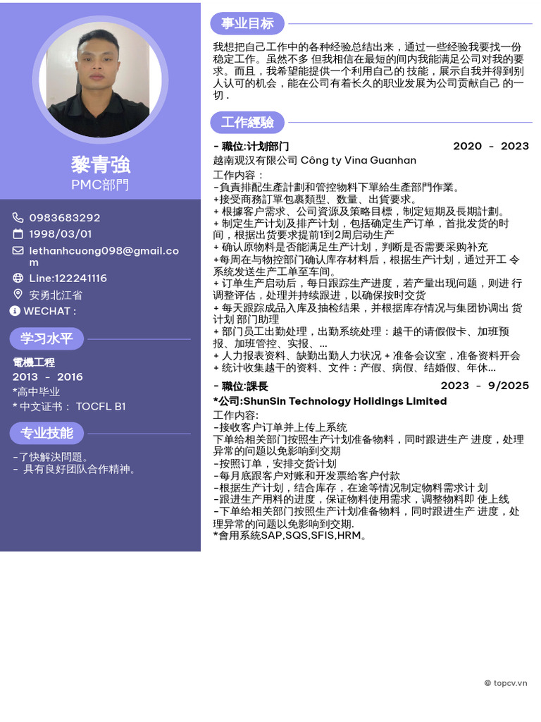 TopCV vn-240925 233031 | PDF