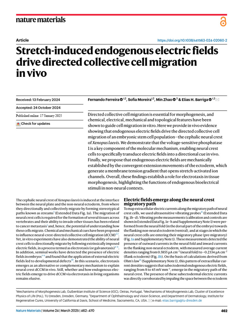 Endogenous Electric Fields in Cell Migration | PDF | Developmental ...