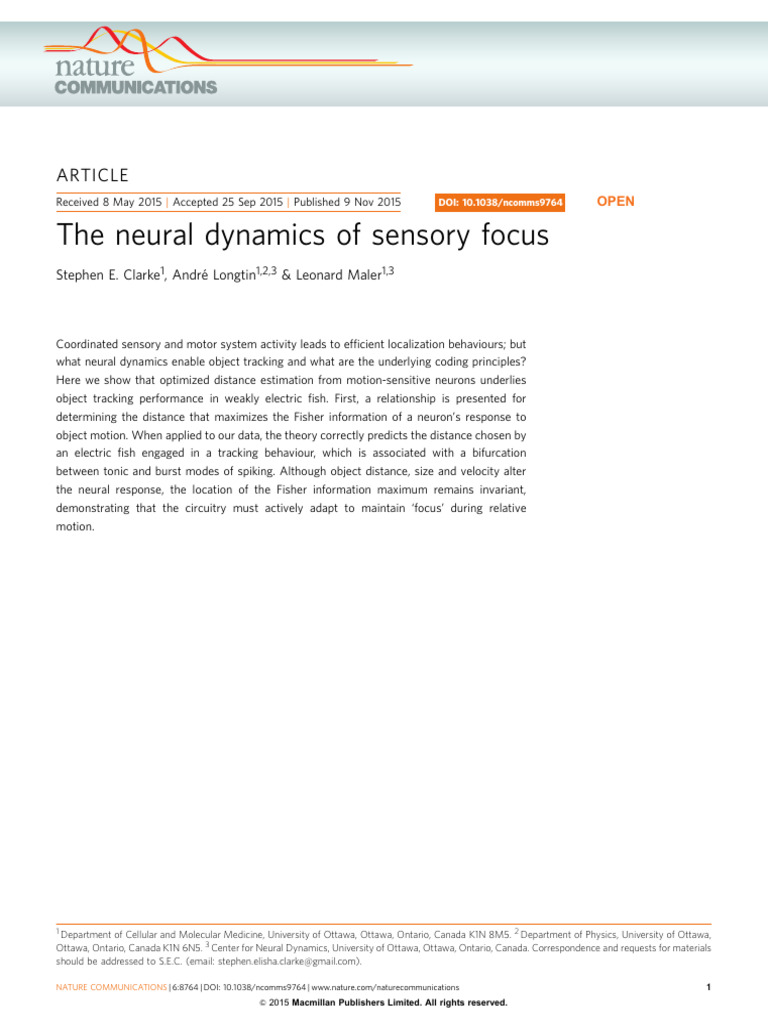 Neural Dynamics in Object Tracking | PDF | Action Potential | Nervous ...