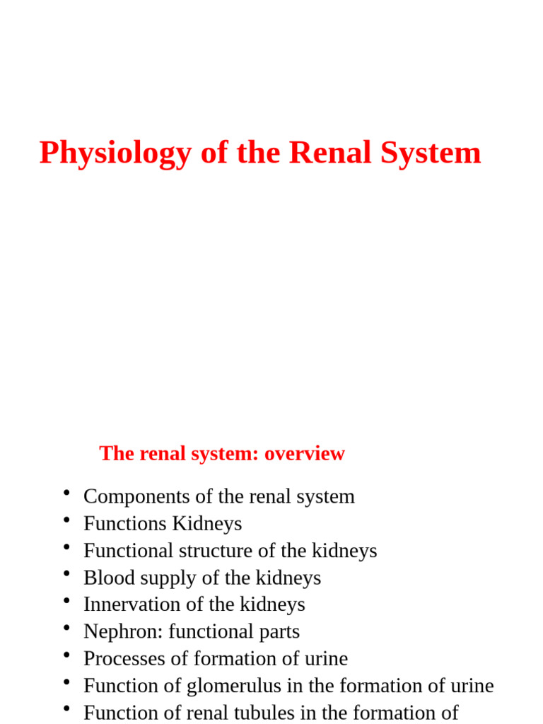 Physiology of The Renal System | PDF | Kidney | Angiotensin