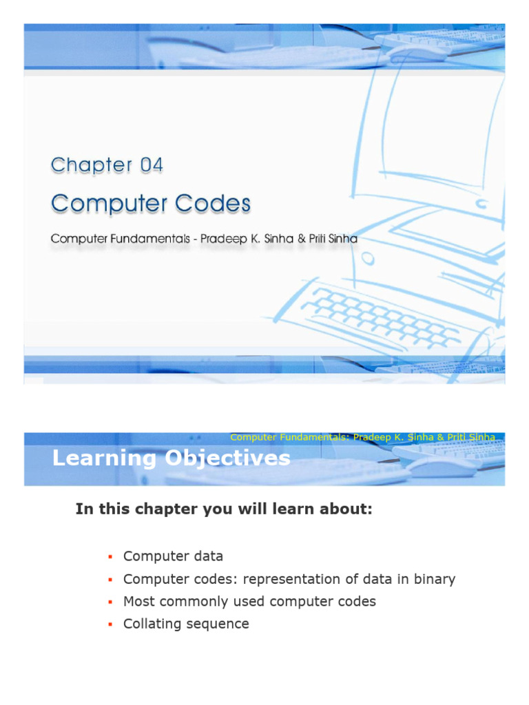 Understanding Computer Codes Basics | PDF | Character Encoding | Collation