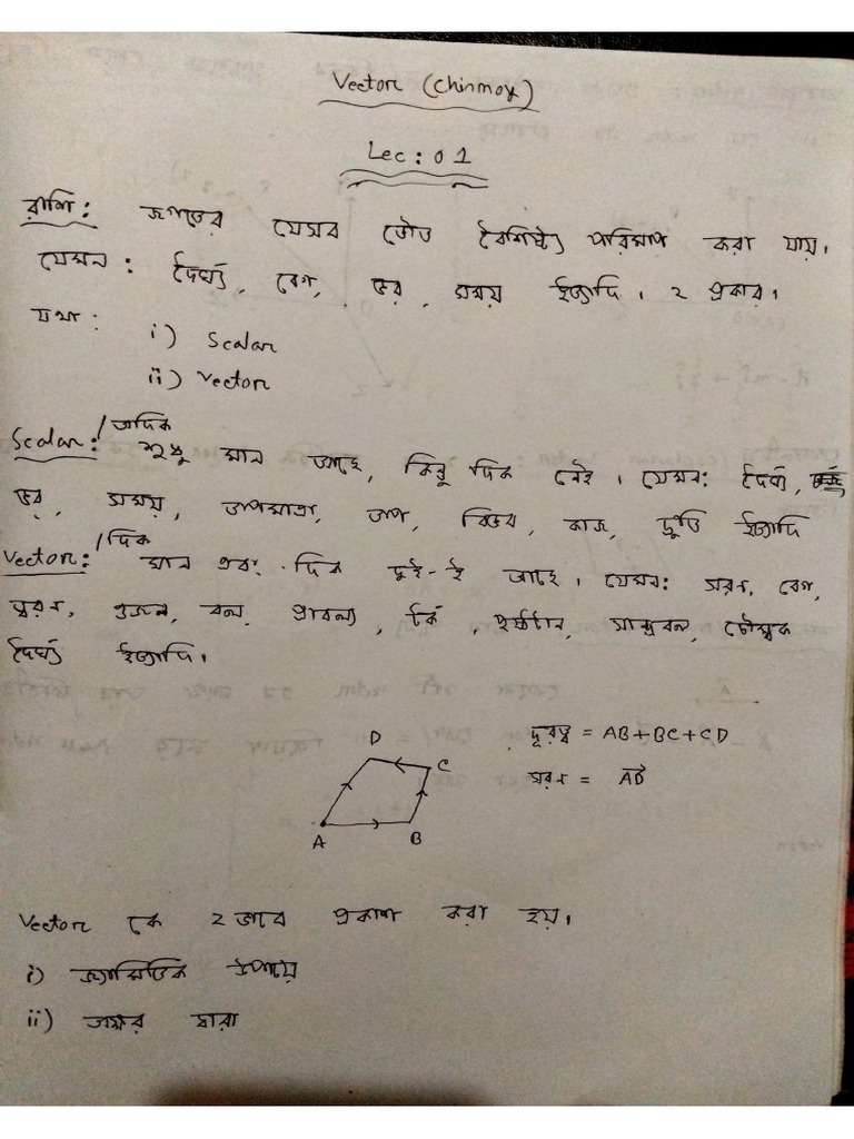 HSC Vector | PDF
