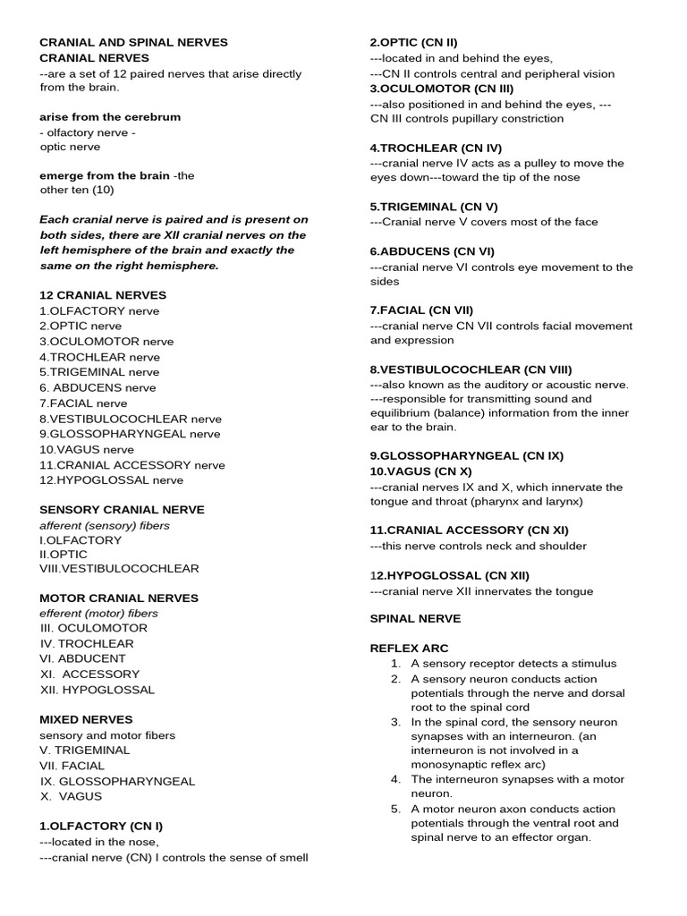 Cranial and Spinal Nerve Overview | PDF | Spinal Cord | Motor Neuron