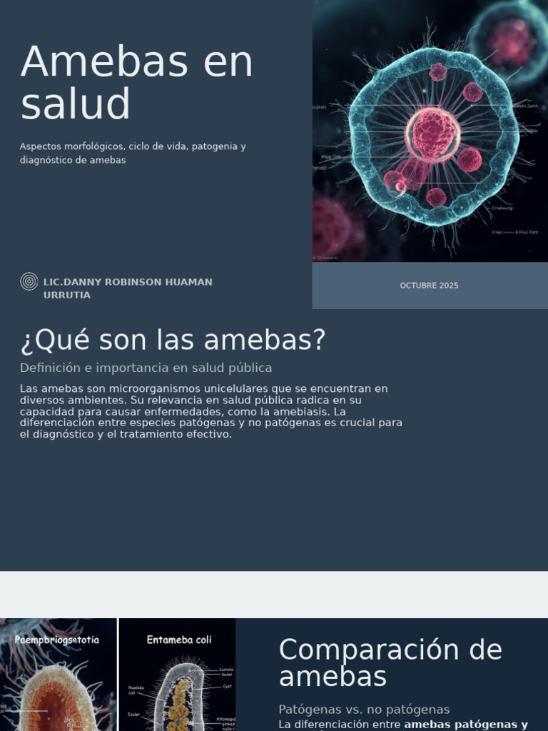 Amebas: morfología, ciclo y diagnóstico | PDF | Enfermedades y ...