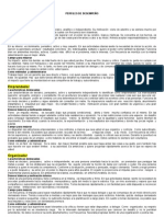 Perfiles de desempeño para director, emprendedor, organizador y pionero