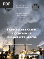 Protocolo de Quioto e Comércio de Emissões de Carbono