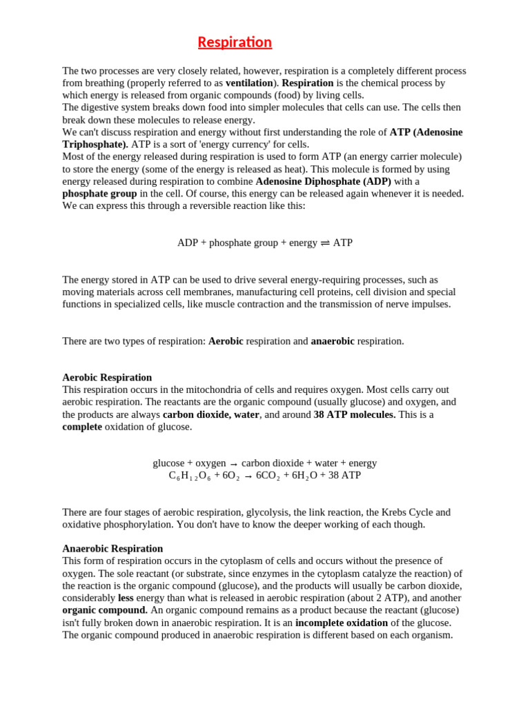 Understanding Cellular Respiration Processes | PDF | Cellular ...
