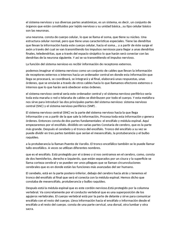 Sistema Nervioso Explicado Fácil Anatomía Y Fisiología Pdf Sistema