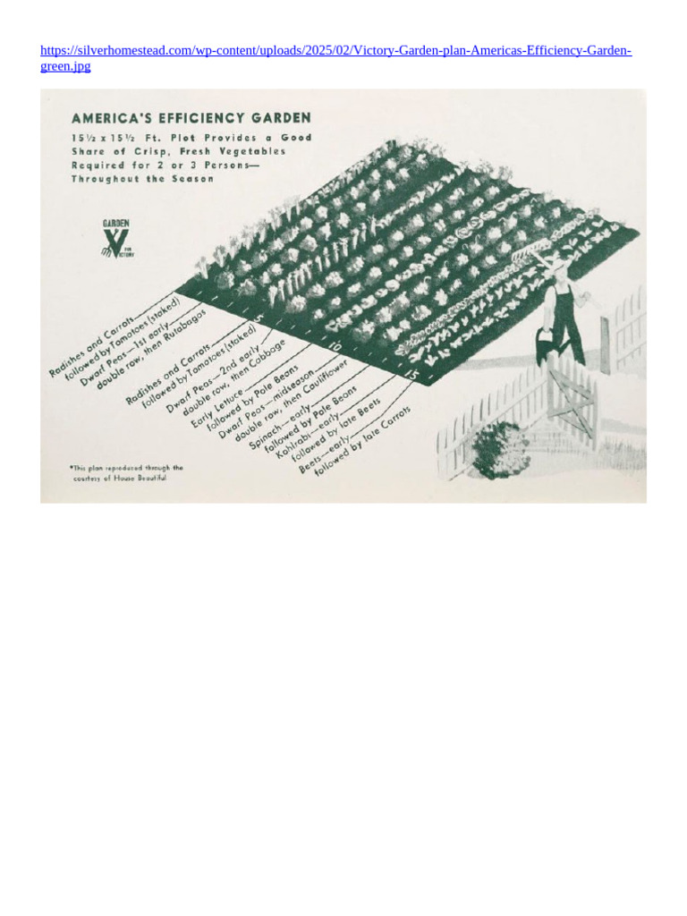 Victory Garden Plan For 2-3 People - Ww2 | PDF