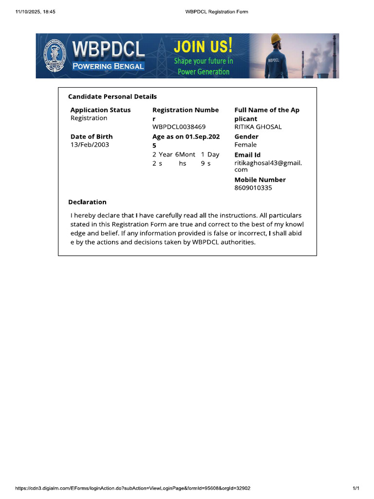 PFD | PDF