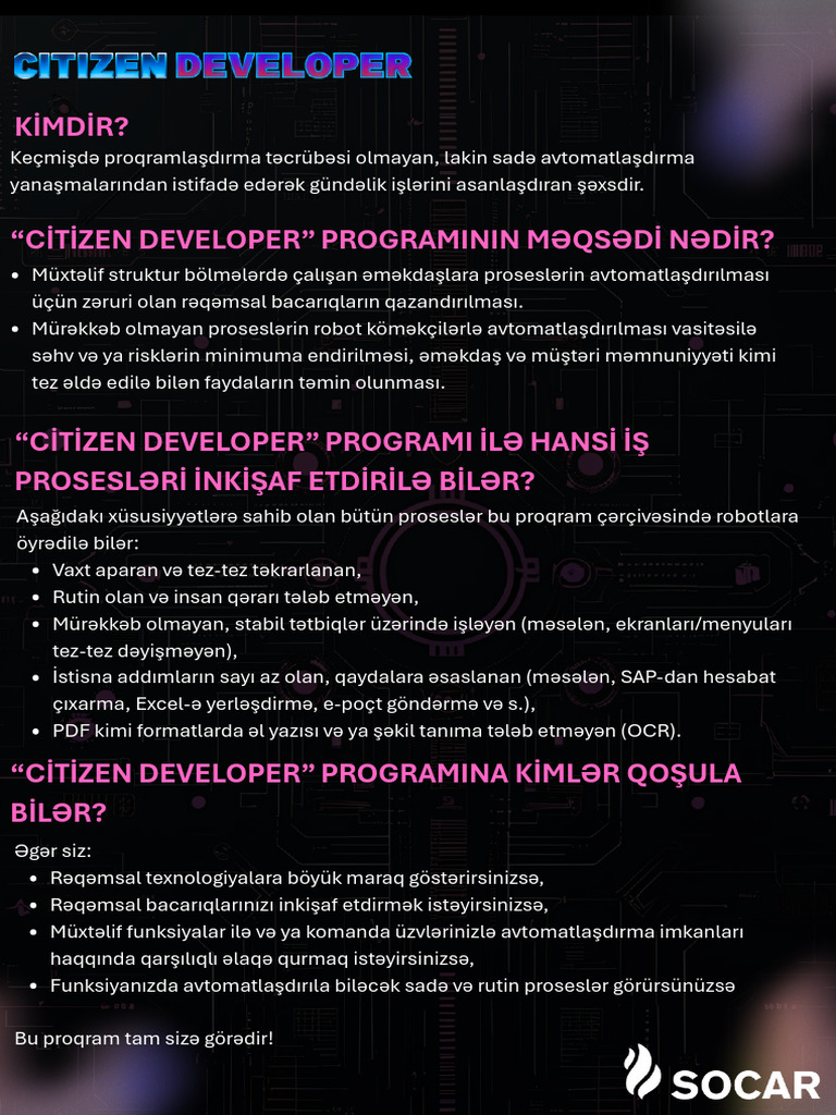 CITIZEN DEVELOPER Fayli | PDF