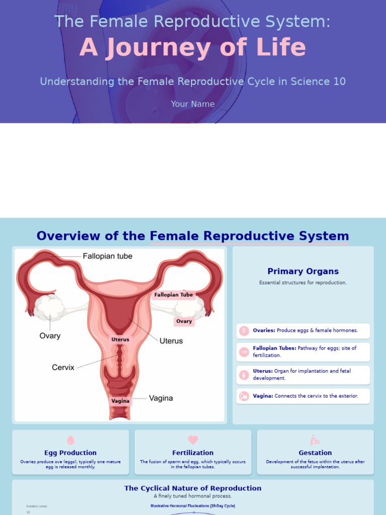 Create A Presentation About Female Reproductive System For Science 10 ...