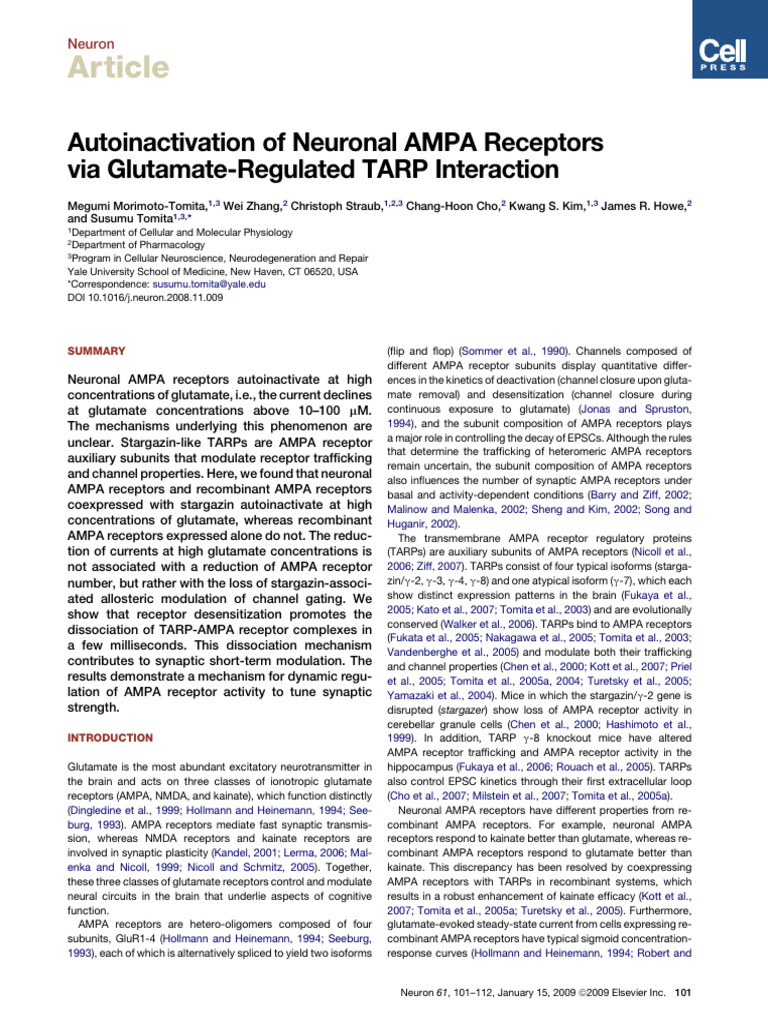 Autoinactivation of Neuronal AMPA Receptors Via GL | PDF | Synapse ...