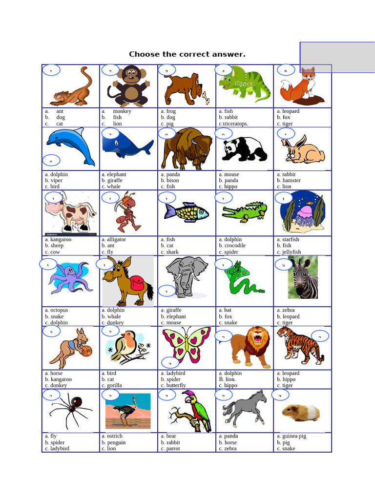 Animal Quiz Answer Key | PDF