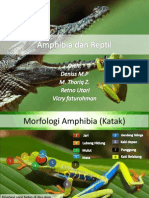 Amphibia Dan Reptil Final Edited