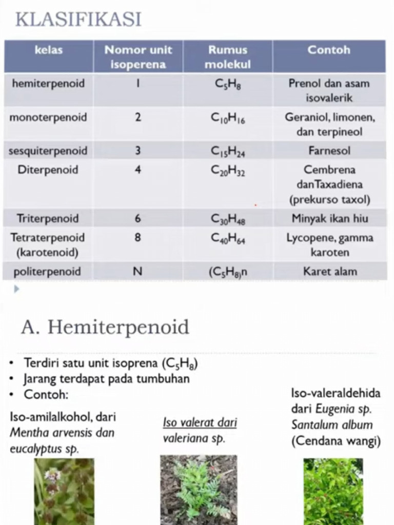 Klasifikasi Senyawa Terpenoid dan Saponin | PDF