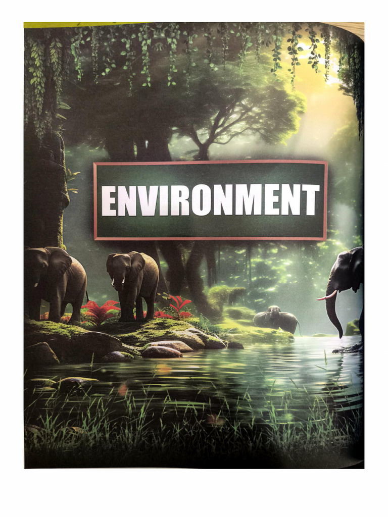 Environment | PDF