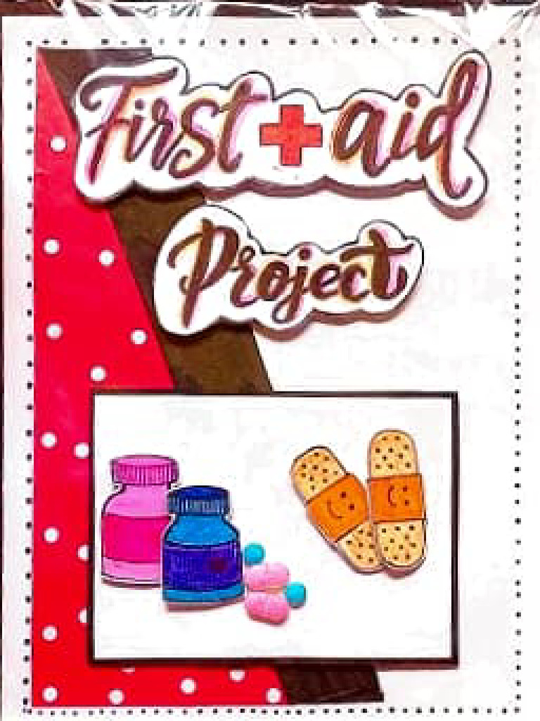 Work Experience First Aid Project | PDF