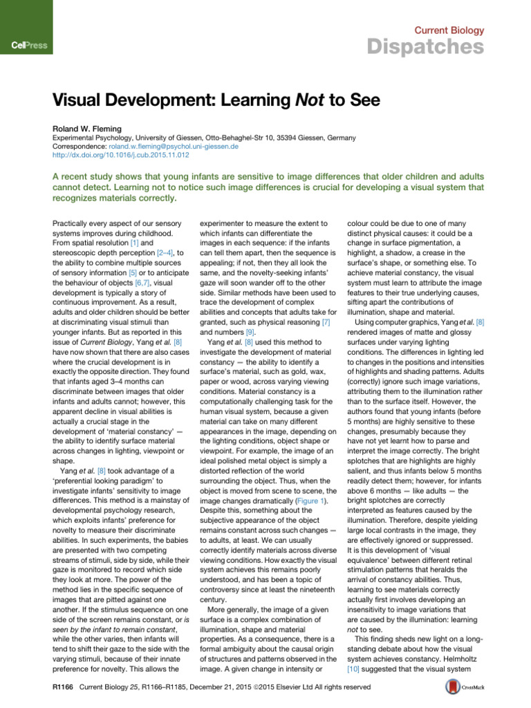 Visual Development Learning em Not em To See C | PDF | Perception ...