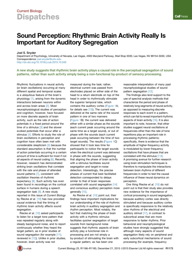 Sound Perception Rhythmic Brain Activity Really I | PDF | Neural ...