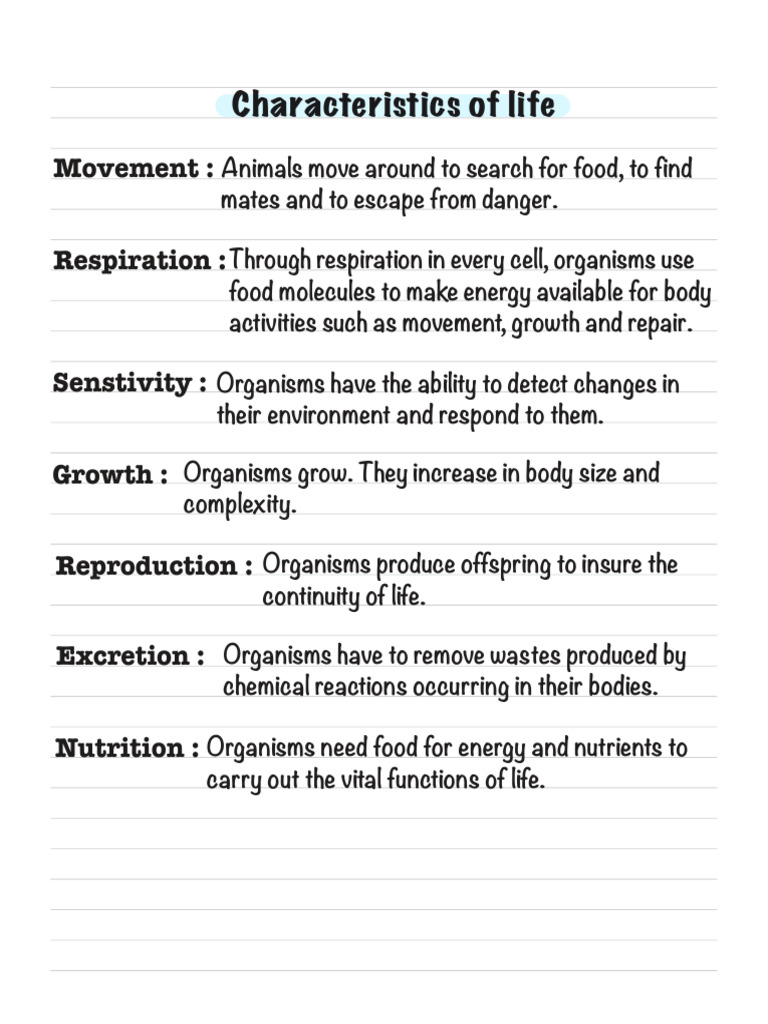 Notes | PDF