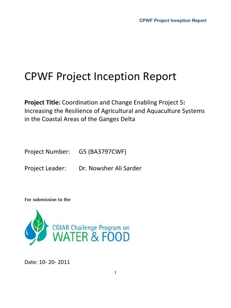 CPWF Project Inception Report Template | PDF | Financial Statement ...