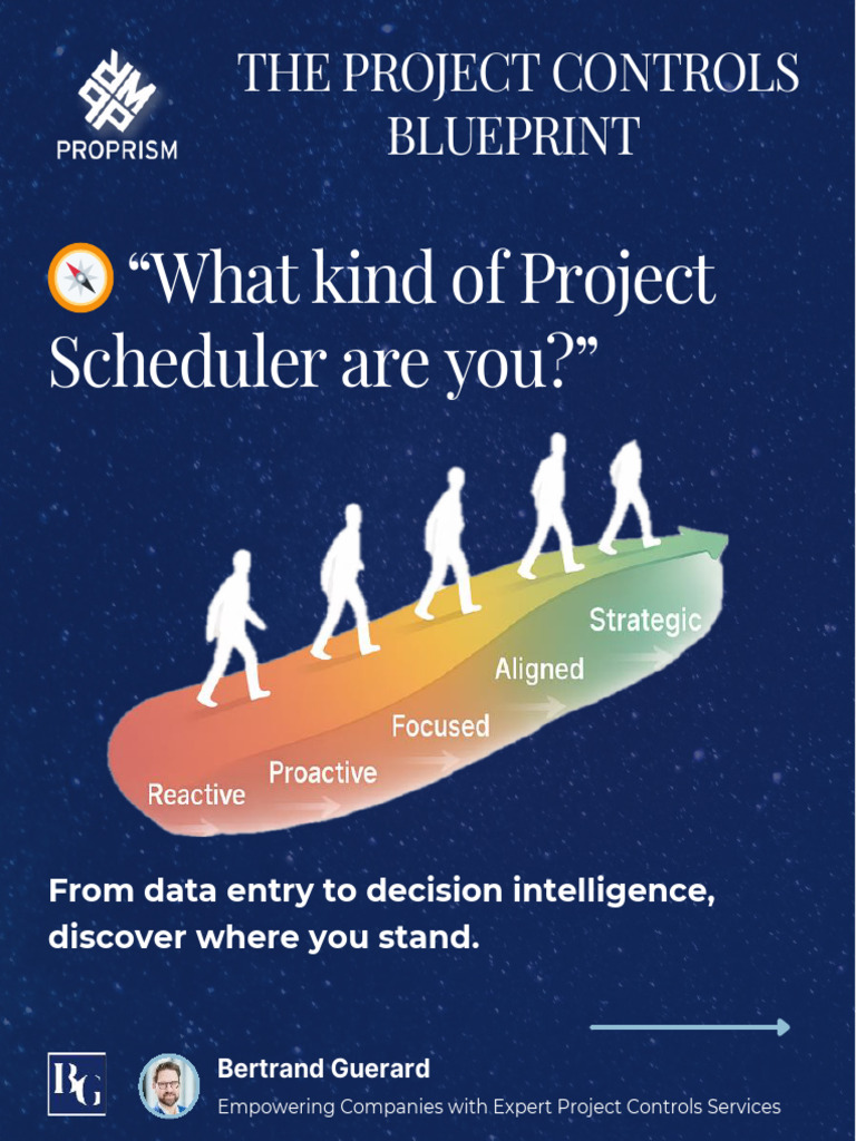 Project Scheduler Levels Explained | PDF | Cognitive Science