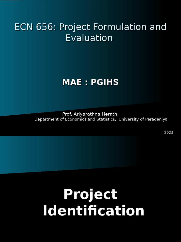 Investment Project Identification Guide | PDF | Market (Economics ...