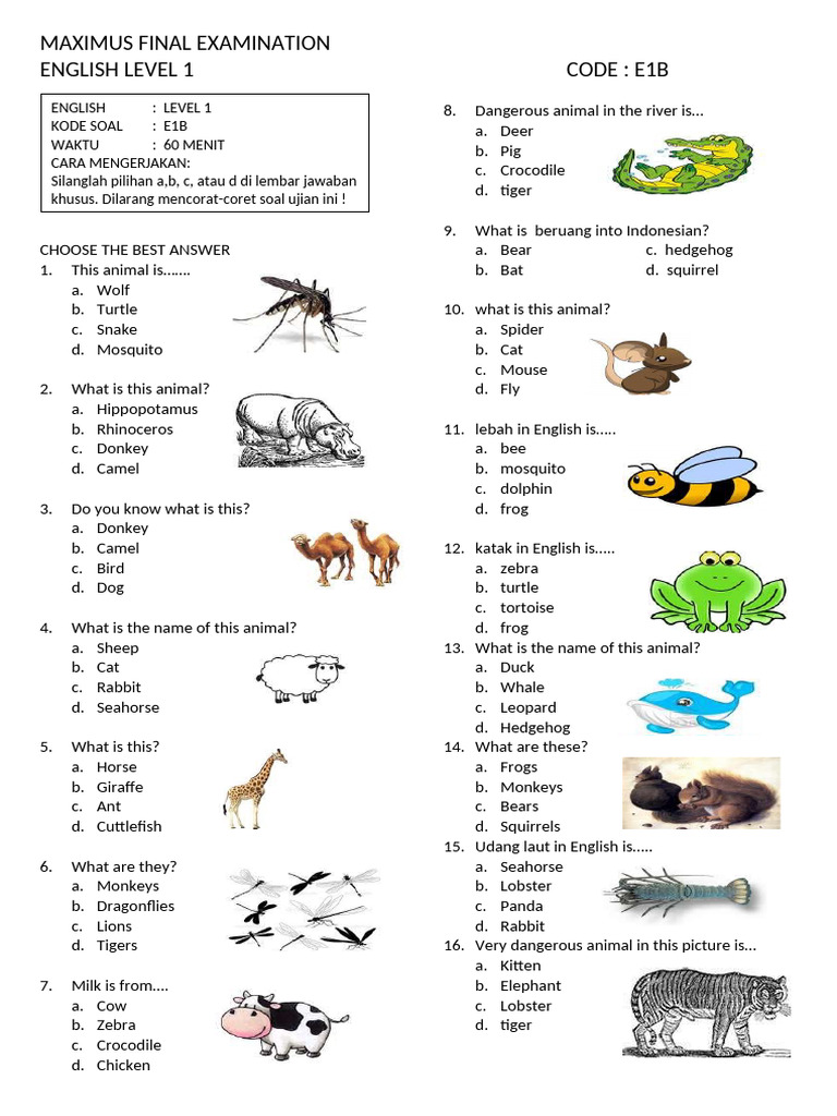 Animal Identification Exam for Beginners | PDF | Fruit